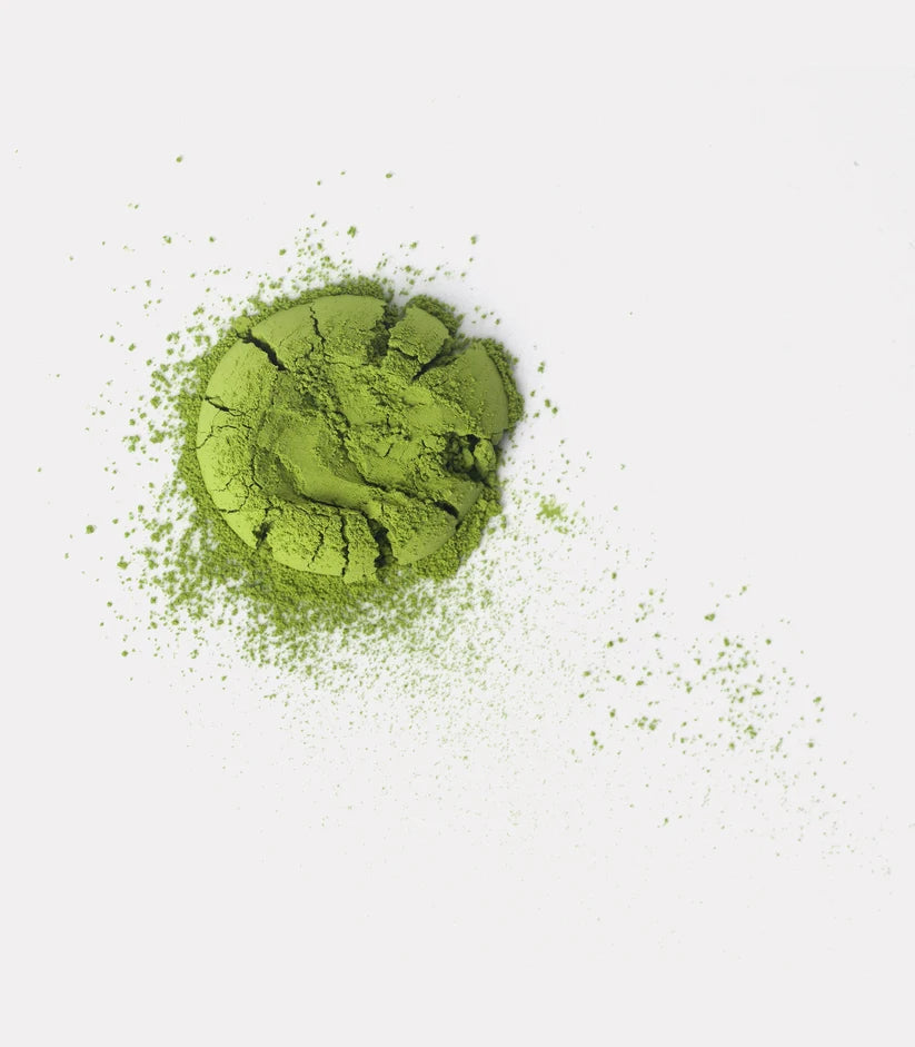Daily Matcha - Tranquilo Matcha