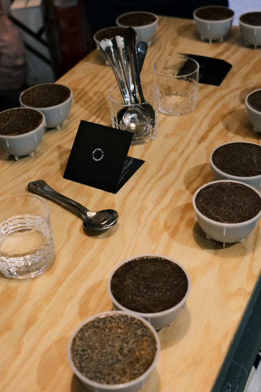 Cata de Café de Especialidad